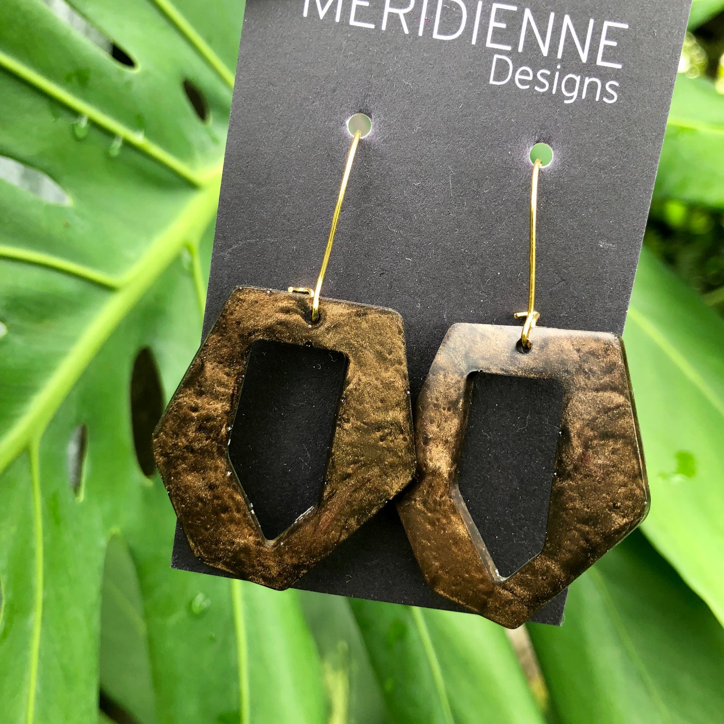 Brown Resin Earrings