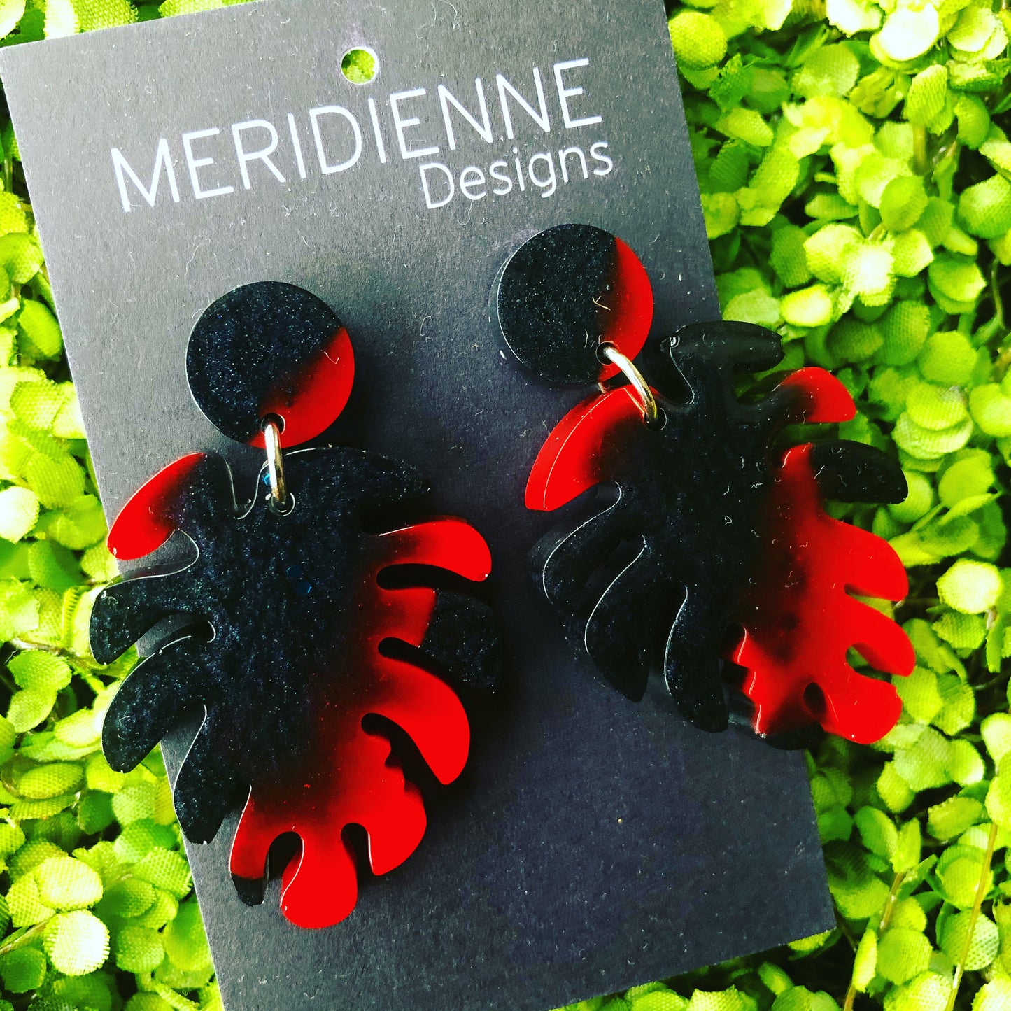 Red & Black Monstera