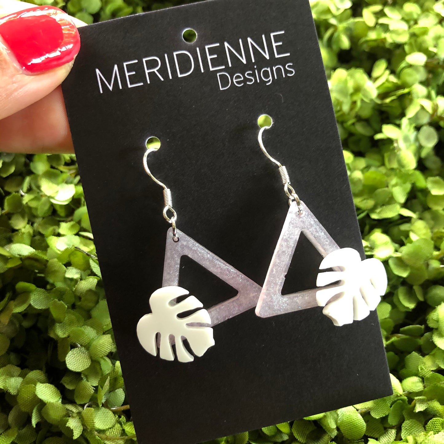 Pink and White Mini Monstera