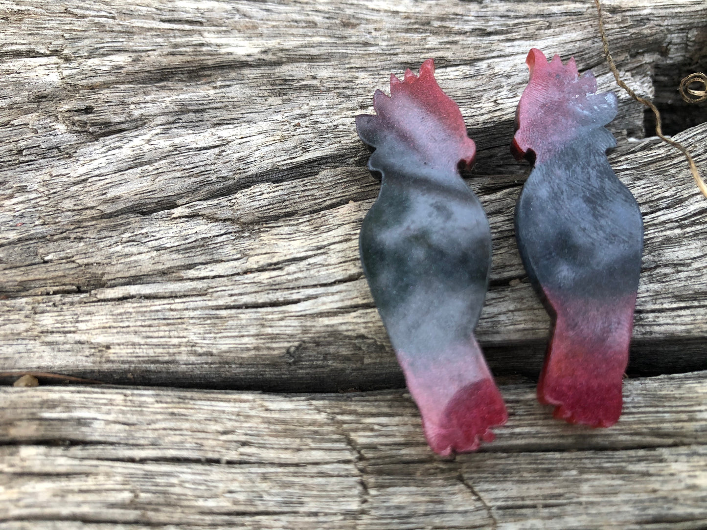 Red Tailed Black Cockatoo resin earrings