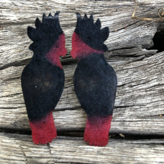 Red Tailed Black Cockatoo resin earrings