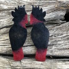 Load image into Gallery viewer, Red Tailed Black Cockatoo resin earrings
